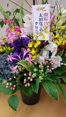 開院13周年を迎えました